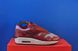 Кросівки Nike Air Max 1 x Patta “Dark Russet” DO9549-200 DO9549-200 фото 3