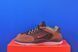 Кросівки Nike Vertebrae SB Brown FD4691-200 FD4691-200 фото 1