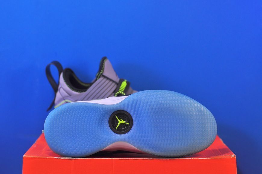 Кросівки Nike Jordan XXXIII SE CD9560-007 CD9560-007 фото