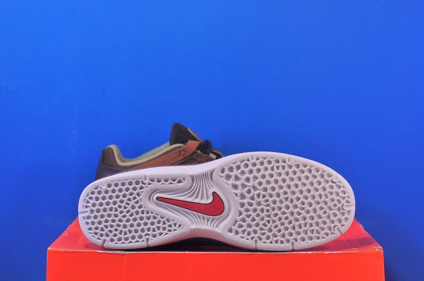 Кросівки Nike Vertebrae SB Brown FD4691-200 FD4691-200 фото