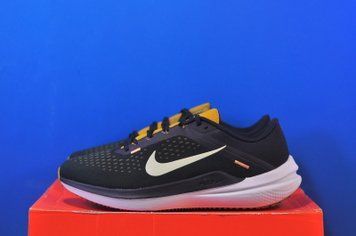 Кросівки Nike Air Winflo 10 DV4022-009 DV4022-009 фото