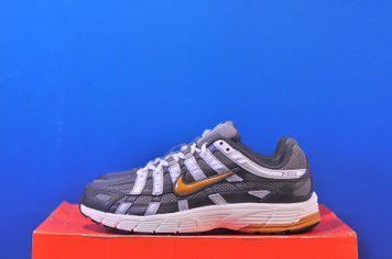 Кросівки Nike P-6000 Grey CD6404-204 CD6404-204 фото