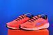 Кросівки Nike Air Zoom Pegasus 41 FD2722-600 фото 2