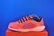 Кросівки Nike Air Zoom Pegasus 41 FD2722-600 фото 1