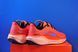 Кросівки Nike Air Zoom Pegasus 41 FD2722-600 фото 3
