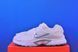 Кросівки Nike V5 RNR Seaweed Metallic HQ7901-106 HQ7901-106 фото 1