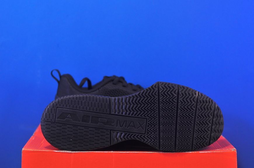 Кросівки Nike Air Max Alpha Trainer 6 Black FQ1833-003 FQ1833-003 фото