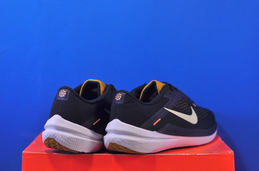 Кросівки Nike Air Winflo 10 DV4022-009 DV4022-009 фото