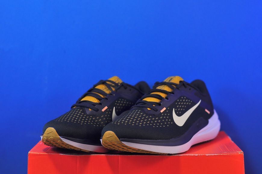 Кросівки Nike Air Winflo 10 DV4022-009 DV4022-009 фото