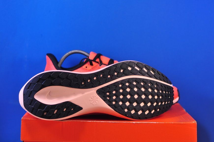 Кросівки Nike Air Zoom Pegasus 41 FD2722-600 фото