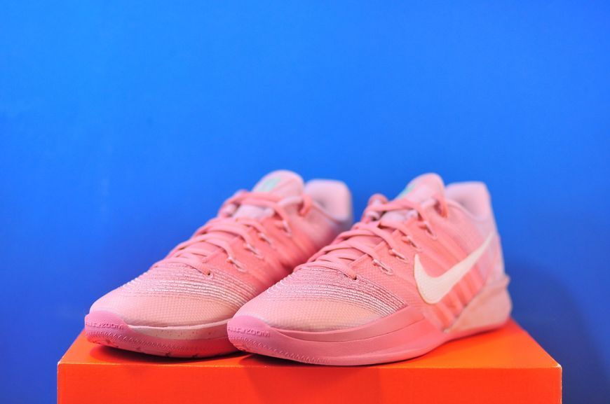 Кросівки Nike Sabrina 3 Beige/Pink HF2881-600 HF2881-600 фото