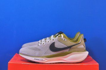 Кросівки Nike Air Zoom Pegasus 41 SP HQ6025-001 HQ6025-001 фото