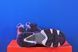 Кросівки Reebok Instapump Fury BS8558 BS8558 фото 5