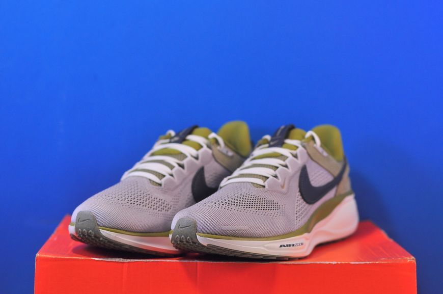 Кросівки Nike Air Zoom Pegasus 41 SP HQ6025-001 HQ6025-001 фото