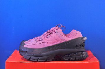 Кросівки Nike Zoom Vomero Roam 'Elemental Pink Anthracite' HQ2181-003 HQ2181-003 фото