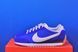 Кросівки Nike Pacific Game Royal  HM4771-401 HM4771-401 фото 1