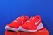 Кросівки Nike Zoom Structure 26 HJ1102-600 HJ1102-600 фото 2