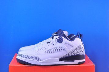 Кросівки Nike Air Jordan Spizike Low White FQ1759-104 фото