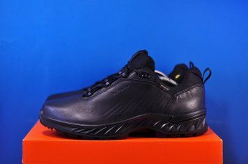 Lowa Zicon GTX Lo TF 311889 C29 0999 фото