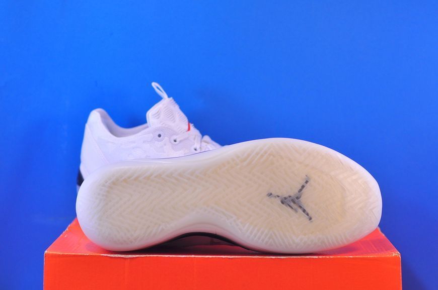 Кросівки Nike Air Jordan 39 White FQ0213-106 FQ0213-106 фото