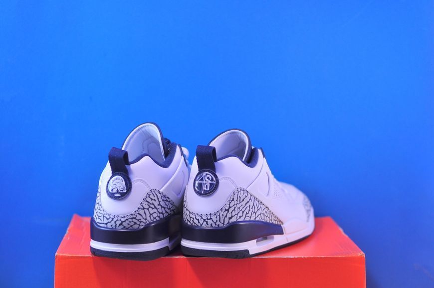 Кросівки Nike Air Jordan Spizike Low White FQ1759-104 фото