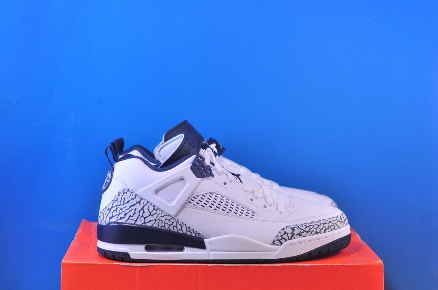 Кросівки Nike Air Jordan Spizike Low White FQ1759-104 фото