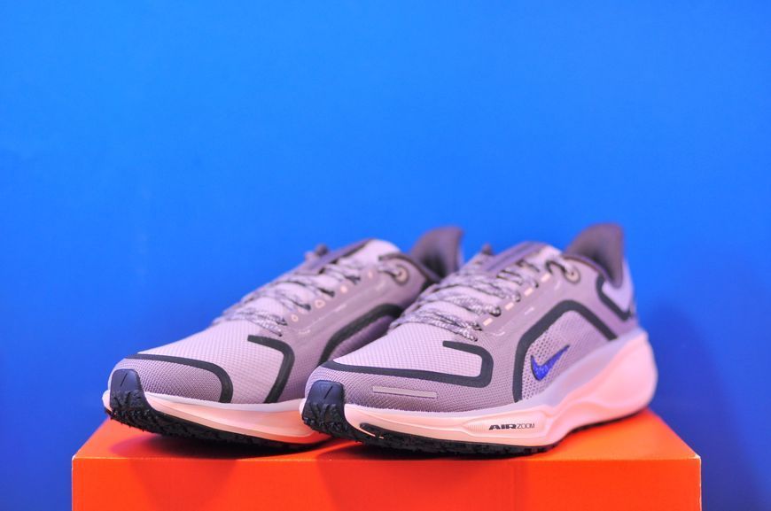 Кросівки Nike Air Zoom Pegasus 41 Gore-Tex FQ1357-004 FQ1357-004 фото