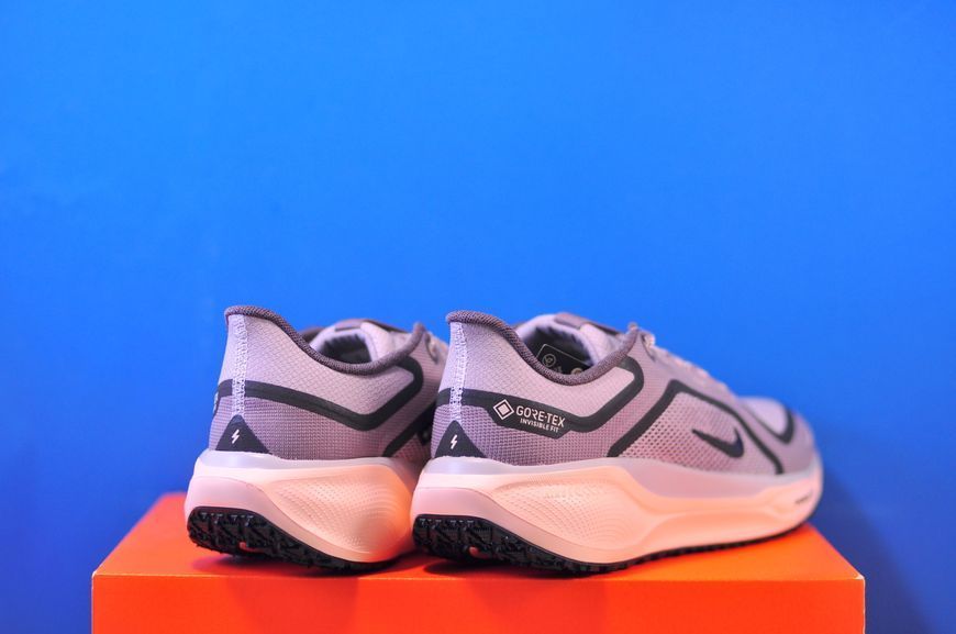 Кросівки Nike Air Zoom Pegasus 41 Gore-Tex FQ1357-004 FQ1357-004 фото