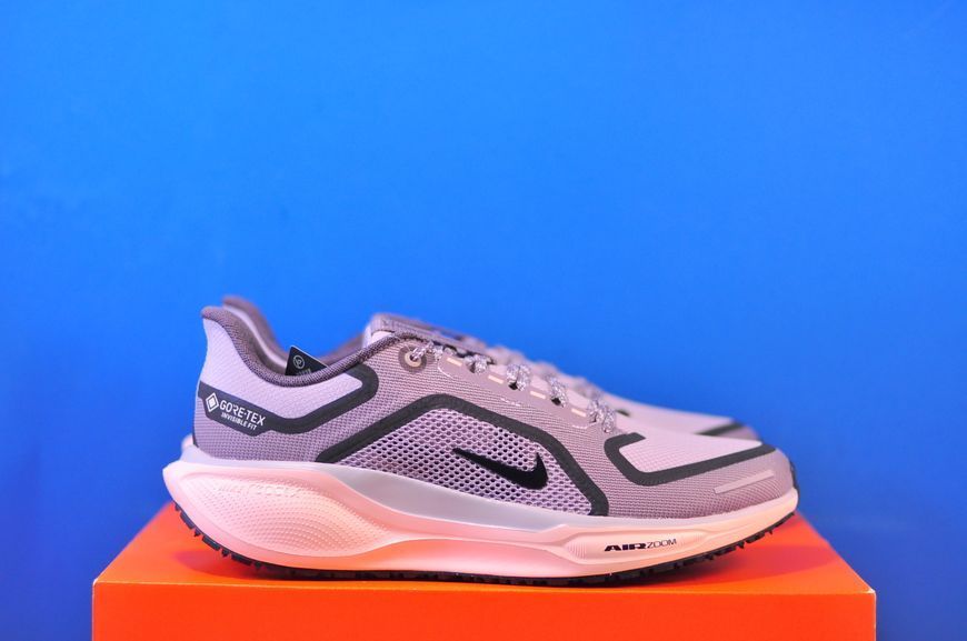 Кросівки Nike Air Zoom Pegasus 41 Gore-Tex FQ1357-004 FQ1357-004 фото