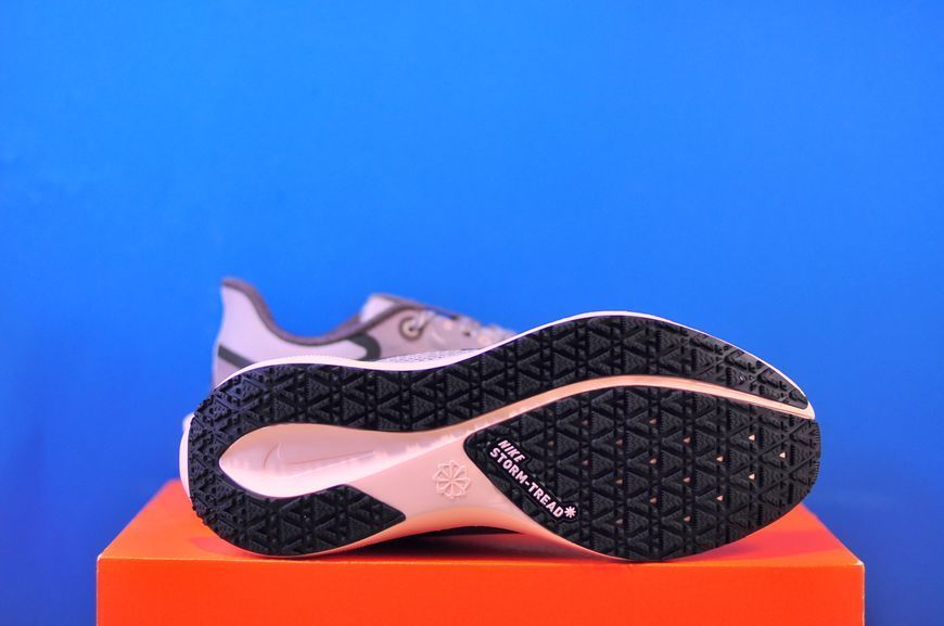Кросівки Nike Air Zoom Pegasus 41 Gore-Tex FQ1357-004 FQ1357-004 фото