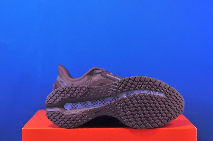 Кросівки Nike Pegasus Premium HQ2593-502 HQ2593-502 фото
