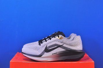 Кросівки Nike Winflo 11 SE HQ7975-100 HQ7975-100 фото