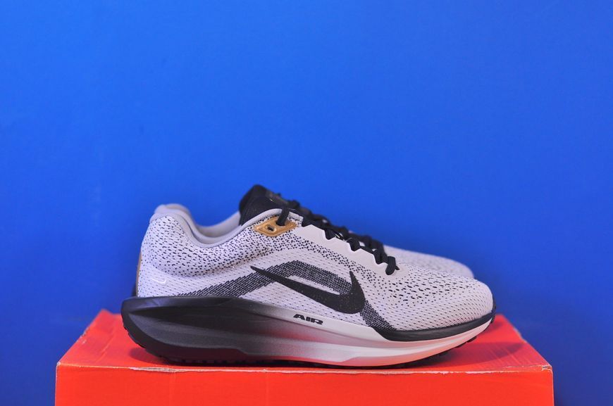 Кросівки Nike Winflo 11 SE HQ7975-100 HQ7975-100 фото