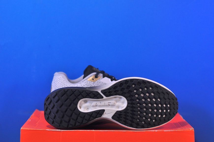 Кросівки Nike Winflo 11 SE HQ7975-100 HQ7975-100 фото