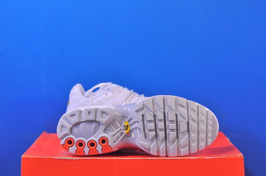 Кросівки Nike Air Max Plus Tn FJ4232-100 FJ4232-100 фото