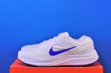 Кросівки Nike Air Zoom Structure 24 White DA8535-100 DA8535-100 фото