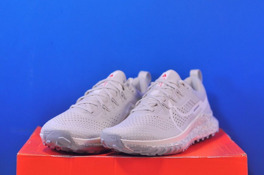 Кросівки Nike React Pegasus Trail 4 Grey FZ3778-072 FZ3778-072 фото