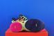 Кросівки Nike Lebron Xxii HV8451-400 HV8451-400 фото 5