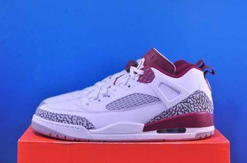 Кросівки Nike Air Jordan Spizike Low Team White FQ1759-106 FQ1759-106 фото