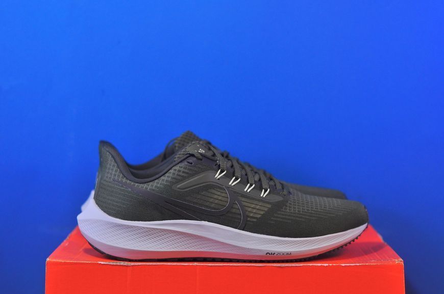 Кросівки Nike Air Zoom Pegasus 39 DH4071-300 DH4071-300 фото