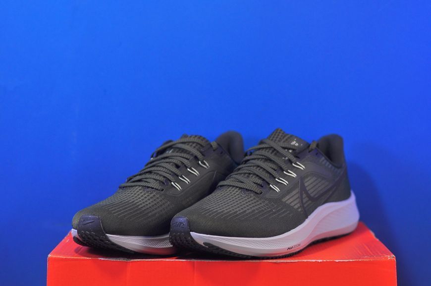 Кросівки Nike Air Zoom Pegasus 39 DH4071-300 DH4071-300 фото
