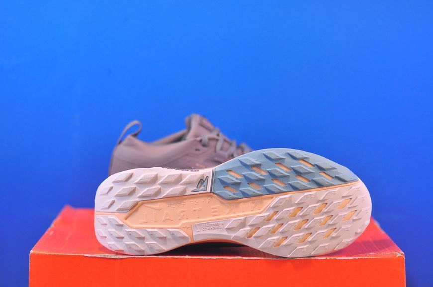 Кросівки Nike Pegasus Trail 5 Gtx Brown FQ0912-200 FQ0912-200 фото