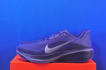 Кросівки Nike Air Zoom Pegasus 42 IB1873-401 IB1873-401 фото