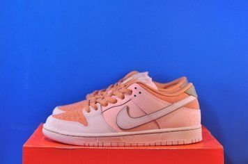 Кросівки Nike Sb Dunk Low Pro Premium Trocadero Gardens FV5926-200 FV5926-200 фото