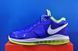 Кросівки Nike Lebron 8 V2 Low DN1581-400 DN1581-400 фото 1