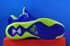 Кросівки Nike Lebron 8 V2 Low DN1581-400 DN1581-400 фото 2