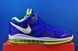 Кросівки Nike Lebron 8 V2 Low DN1581-400 DN1581-400 фото 3