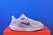 Кросівки Nike Air Zoom Pegasus 41 FD2723-007 FD2723-007 фото 4