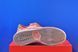 Кросівки Nike Sb Dunk Low Pro Premium Trocadero Gardens FV5926-200 FV5926-200 фото 5