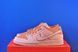 Кросівки Nike Sb Dunk Low Pro Premium Trocadero Gardens FV5926-200 FV5926-200 фото 1